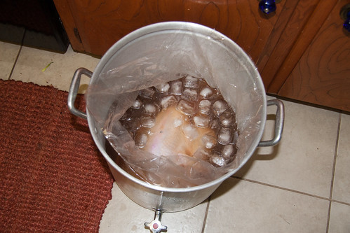Turkey #1 Covered in Brine with Ice