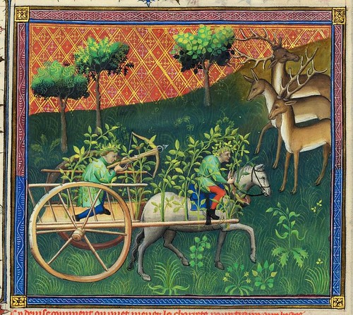 013-Le Livre de la chasse-1407- Gaston Phoebus- MS M. 1044 – fol. 103--detalle-© The Morgan Library & Museum