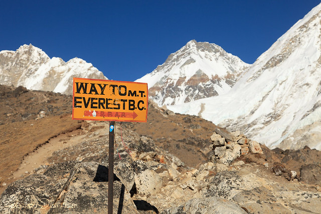 Everest binary options