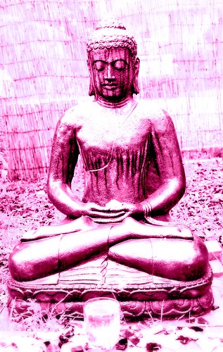 Regardless of circumstances, the Buddha remains, rain offering in a glass, meditation statue, Seattle, Washington, USA by Wonderlane