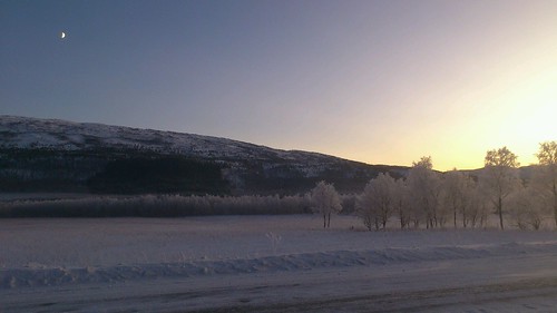 Vinter på Fauskemyrene by Lasse G. Dahl