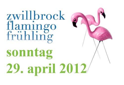 _flamingo_frühling_2012