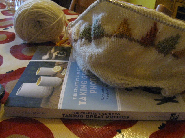 Reading and knitting 18th Jan 2012