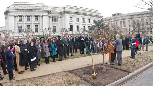 United States Department of Agriculture (USDA) Under Secretary Natural Resources and Environment Harris Sherman (left), next to the freshly planted Dawn Redwood for the Celebration of Tu B’Shevat “The New Year of the Trees” event; the 3rd Grade Class of the Jewish Primary Day School of the Nation’s Capitol and other addressed the attendees at the District of Columbia western lawn next to the USDA Headquarters, Whitten Building at 14th Street and Independence Ave SW, Washington, D.C. on Wednesday, February 8, 2012. USDA Photo by Lance Cheung.
