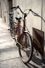 Bicycles in the sun