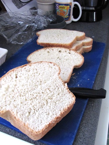 Brod & Taylor Folding Proofer & Country Wheat Sandwich Bread