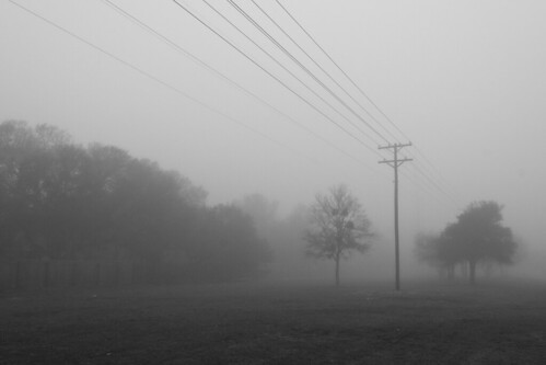 Foggy morning 9Dec2011 b_7105 by 2HPix.com - Henry Huey
