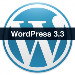 wordpress-logo-blue-300x300