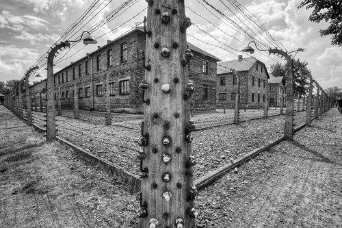 Fence Around Auschwitz