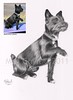 Patterdale Terrier. Commission, A4