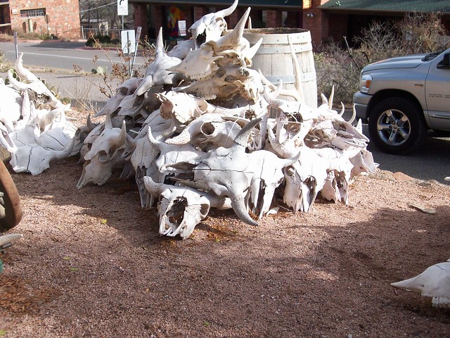 Big Ole Pile Of Skulls These were for sale in Sedona They weren't cheap