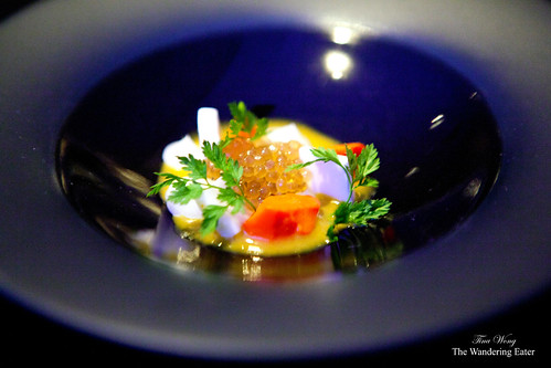 1st course: Trout roe, carrot, coconut, curry