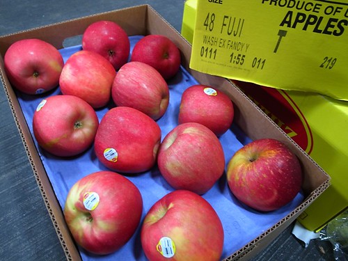 美國富士蘋果，4131，4129