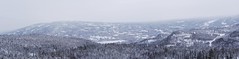 Fra formiddagens skitur inn mot Trillemarka. 5.02.12.
