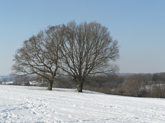 Winter  Jan  2012