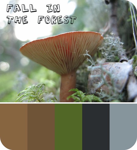 fall in the forest