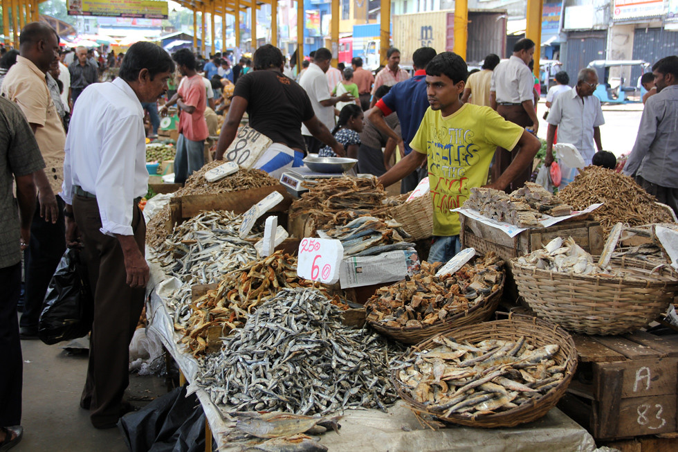 Dried Salted Fish Stand in Colombo, Sri Lanka
