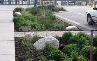green infrastructure softens hardscape while managing stormwater (courtesy of SVR Design)