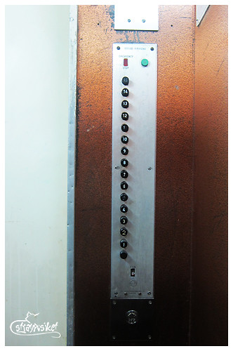 harilela mansion elevator buttons