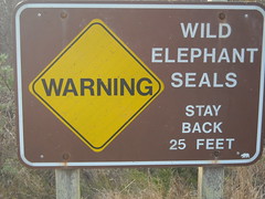 Elephant Seal Sign