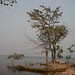 At and on Lake Volta, Ghana - IMG_1804_CR2.jpg