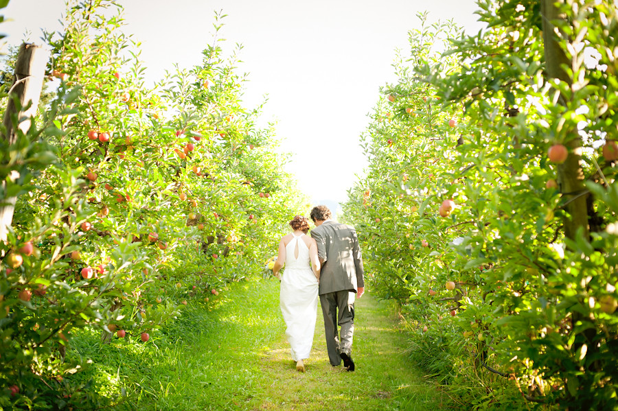 Married couple walking through apple orchard at Mt. Hood Organic Farms.
