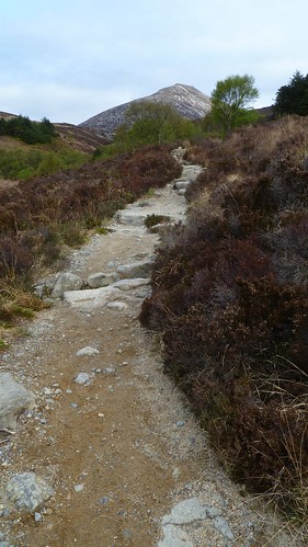 Goatfell Path in Cnocan Wood