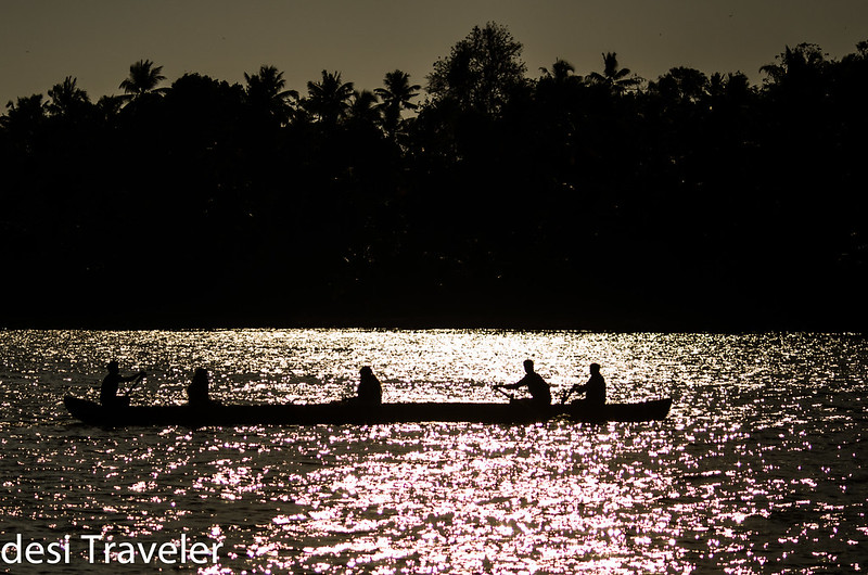 snake boat in sunset backwaters kerala