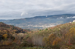 San Miguel de Mones - Petín - Ourense