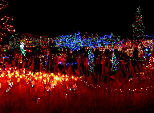 VanDusen Botanical Garden Festival of Lights - 2011