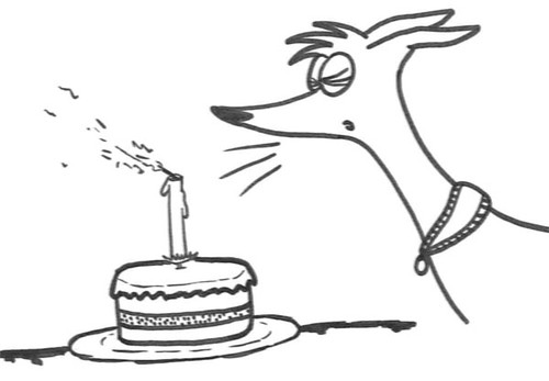 Comic-Whippet-Birthday