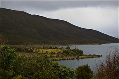Lookout on Lake Rotoaira