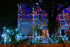 Key West 2011 Christmas Lights
