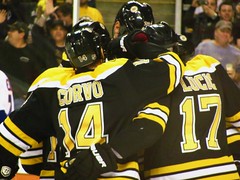 Bruins vs. New York Islanders, November 7, 2011