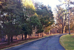 Road at Long Hill (Posterized and Digitally Modified Photo) by randubnick
