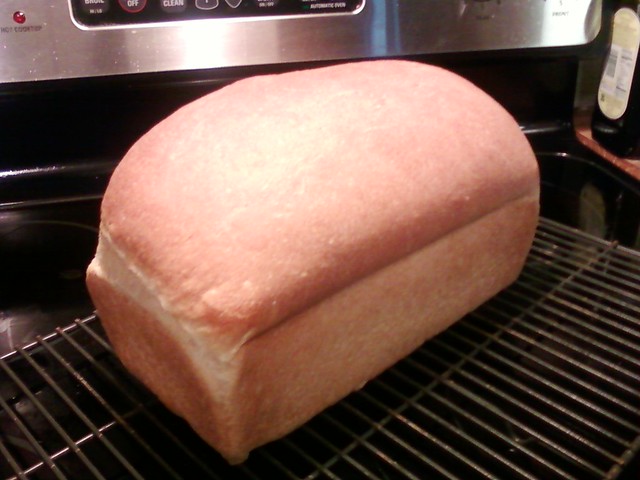 Honey Wheat bread hot out of the oven.