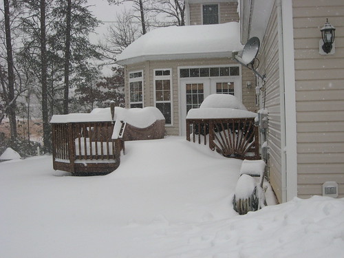 2010 Snow Storm