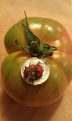 Tiny tomato