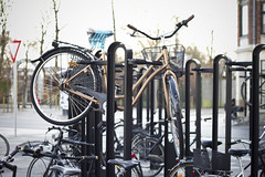 Aalborg Bike Rack_1