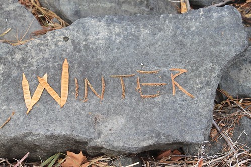 Winter - Nature Sign