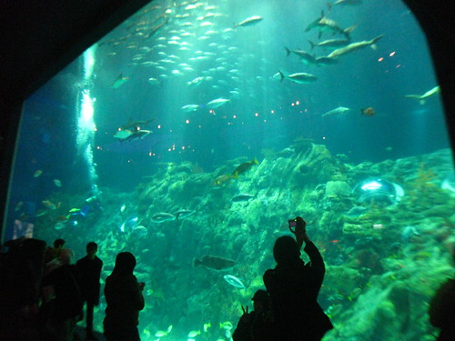Ocean Park Grand Aquarium