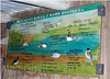 Interpretation Board. Acrylics. Donation to Wildlife Trust of South & West Wales