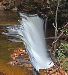 Rickett's Glen Waterfalls