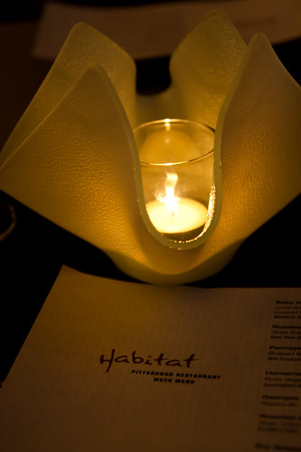 Candle at Habitat