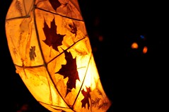 2011-12: Lanterns & Lights