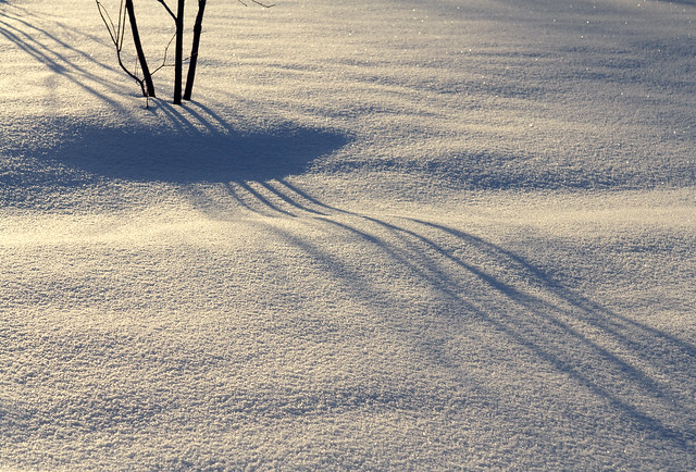 snow, shadows