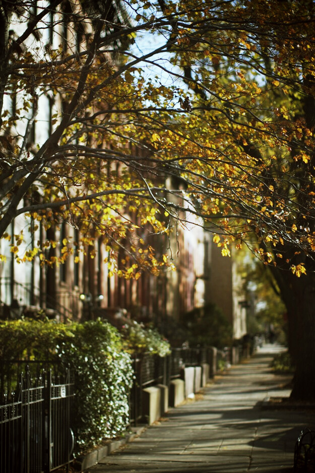autumn_new_york_10.jpg_effected