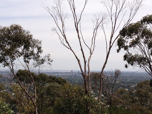 "windy point" - view over Adelaide