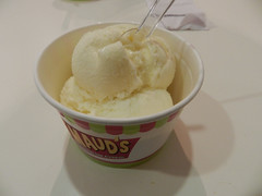 Maud's banana & vanilla ice cream