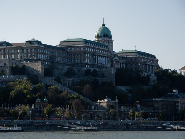 The Buda Palace and Castle